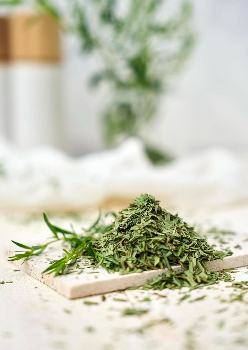 Fuchs, Estragon, französische Kräuter zum Verfeinern von Salaten oder Sauce Hollandaise, 10 Gramm Condimente Naty Shop