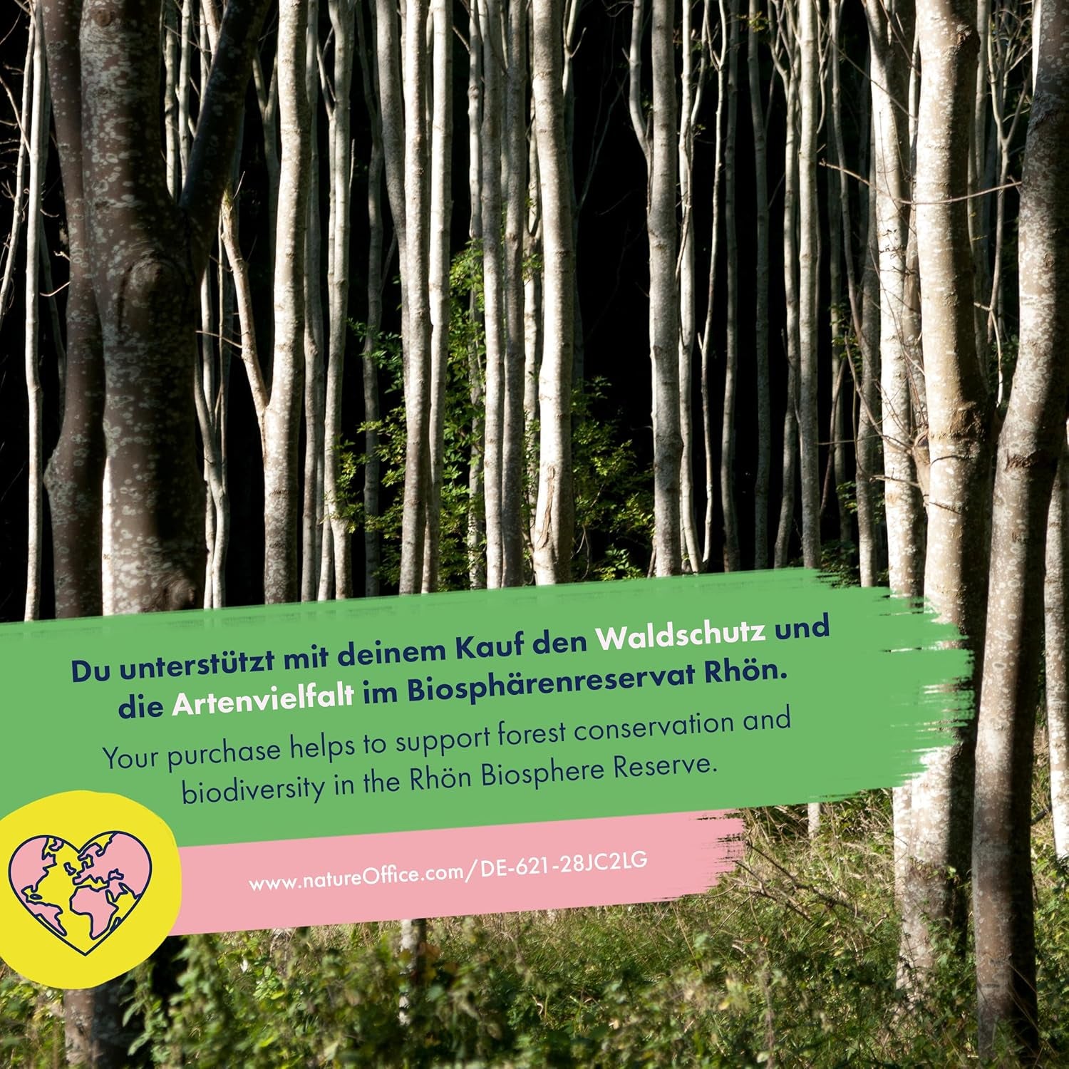 Blühender Regenbogen – 6 kostenlose bestäubte Blumenmischungen – spektakulär und farbenfroh – Samenset für Anfänger, als kleines Geschenk oder für den persönlichen Gebrauch