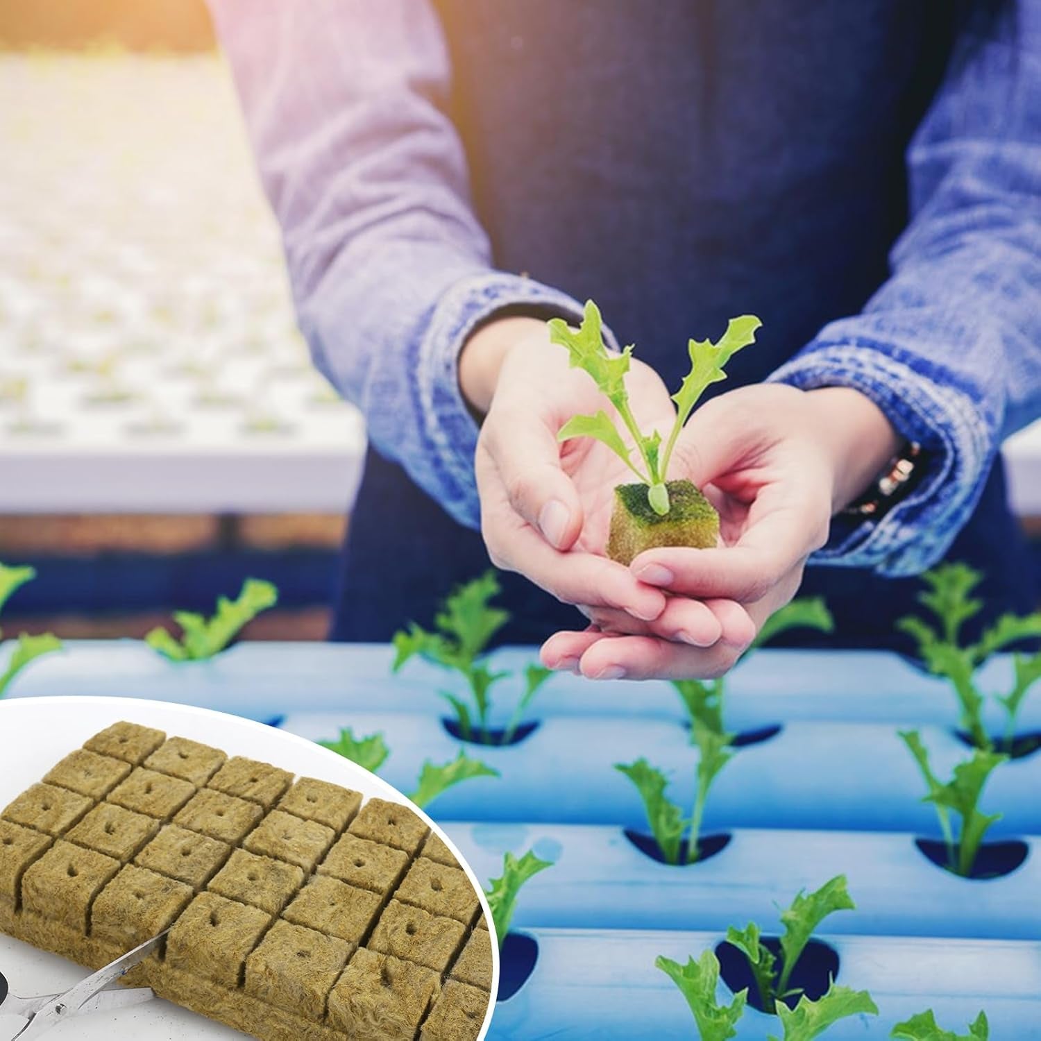 28 Steinwolle-Würfel, Steinwolle-Set, Steinwolle-Anzuchtmatte, erdlose Hydrokultur-Anzuchtmatte, Steinwolle-Würfel, Steinwolle-Würfel für Stecklinge, Klonen, Vermehrung, 4 x 4 x 4 cm