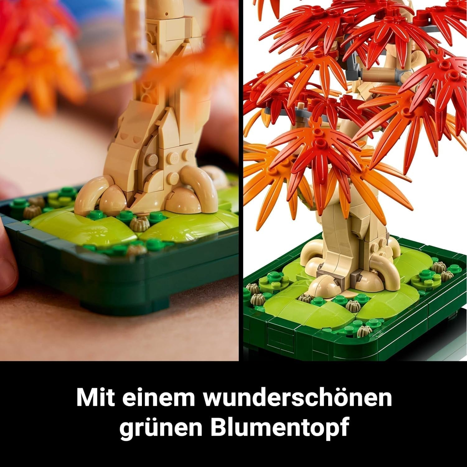 LEGO Botanicals Japanischer Rotahorn – Bonsai-Baum – Kunstpflanzen-Set mit roten und orangefarbenen Blättern, plus Schale – Heimdekoration – Geschenkidee für Erwachsene – 10348 Bausets Besuchen Sie den LEGO-Store