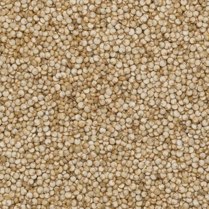 Wholefood Earth Bio-Quinoa-Körner – 2 kg | Grausam | GVO-frei | Vegan | Reich an Ballaststoffen | Bio-zertifiziert