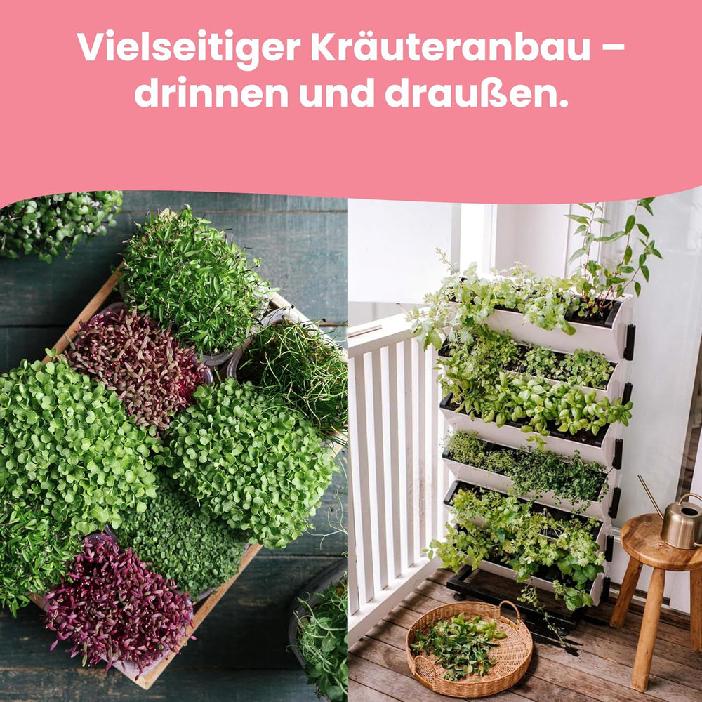 LERAVA Kräutersamen Set – 12 Sorten: Basilikum Samen, Parsilie Samen, Koriander, Oregano & mehr – Saatgut für frische Kräuter im Garten oder Topf, Premium Samen für Küche & Balkon – Samenset, Samen