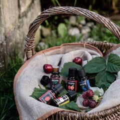 Myaroma | Set: Wald & Wiese – Naturreines Aroma mit Fruchtaroma und Fruchtaroma (5 x 10 ml) | Zuckerfreie und ungesüßte Süßstoffe von Naty Shop