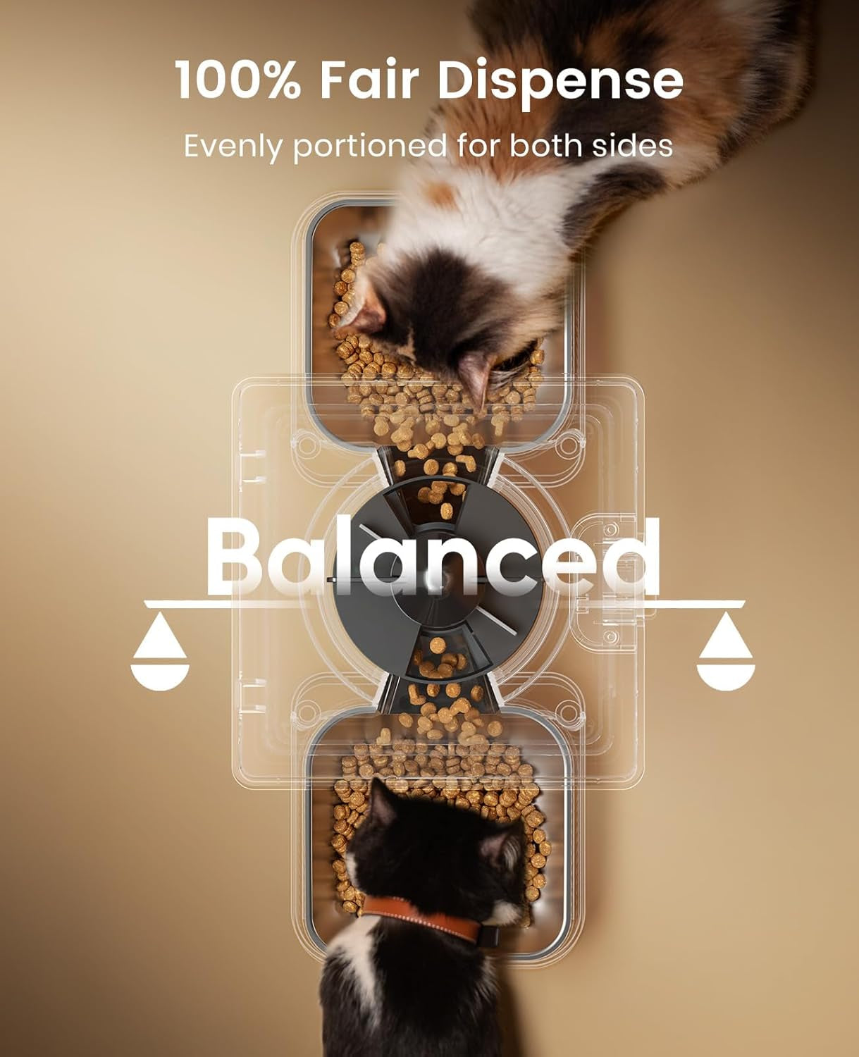 oneisall 5L Futterautomat Katze 2 Näpfe, Katzenfutter Automat mit einem Knopf, Einfache Bedienung, Futterspender für Katzen/Hunde, mit Edelstahlschüssel, Voice Recorder, für kleine/mittlere Haustiere