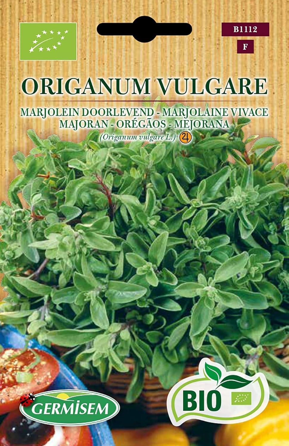 Majoran ORIGANUM VULGARE, ECBIO1112