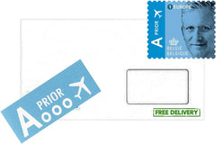 Sonnige Blumen, Sonnenblumen, Abendsonne