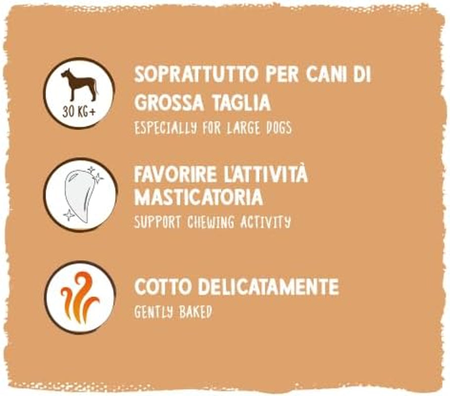 Sammy's Müsli-Münzen | Knusprig gebackene Snacks für Hunde | 5 Körner-Müsli-Münzen für Ihren großen pelzigen Freund (30 kg+) | 1 kg