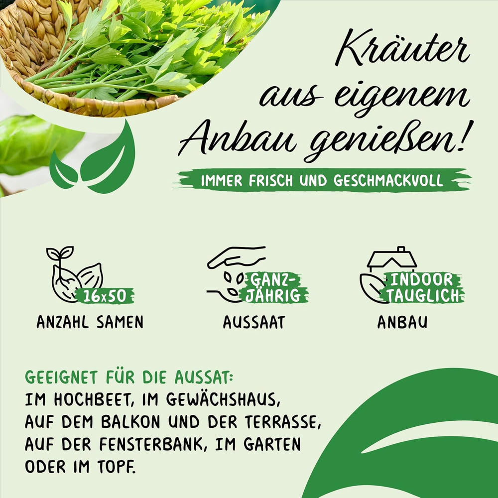 Prademir – Kräutersamen Set aus 16 beliebten Küchenkräutern – Kräuter Anzuchtset mit 100% Natursamen aus Portugal – Kräuter Saatgut aus Oregano, Thymian, Majoran, Rosmarin, Dill, Basilikum, Salbei uvm