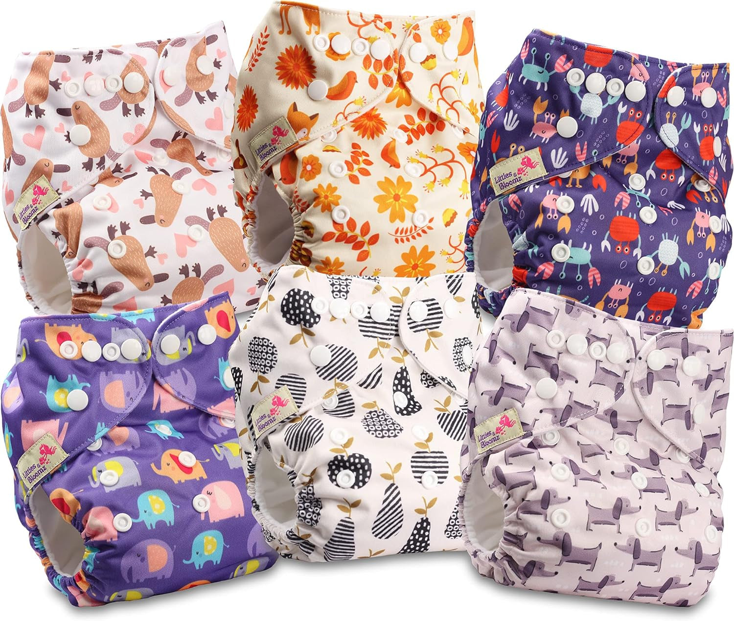 Littles and Bloomz FLP2-0406 Wiederverwendbare Standard-Clip-Windel, 4 Windeln