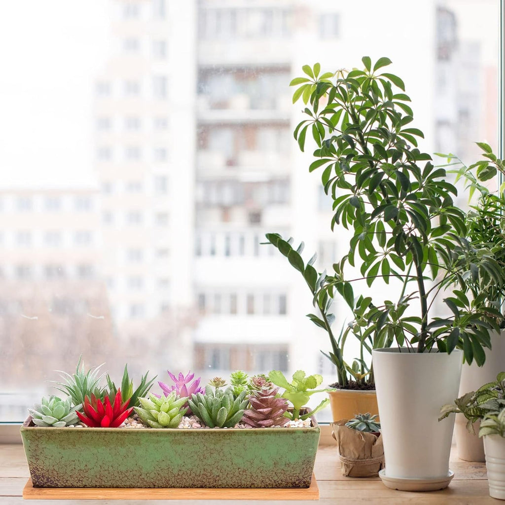 Ghivece ceramice pentru suculente, 30 cm, moderne, lungi, dreptunghiulare, recipient pentru flori cu tavă, cutie plată pentru cactus și bonsai cu drenaj, pentru uz interior și exterior, decorațiuni interioare