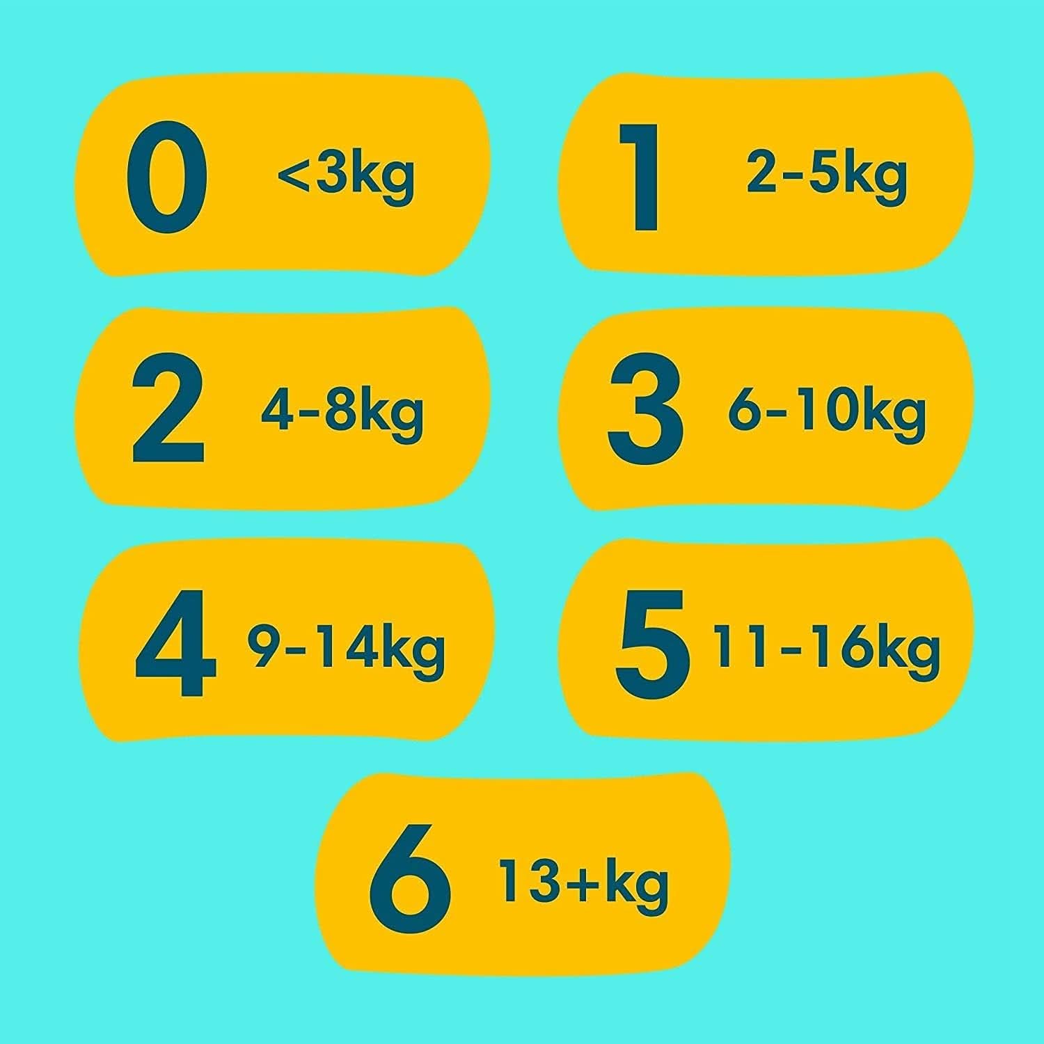 Pachet Pampers Marimea 1 (nou-nascut) si Always Discreet L, chiloti unica folosinta pentru mamici, incontinenta si postpartum Mama si Copilul Naty Shop