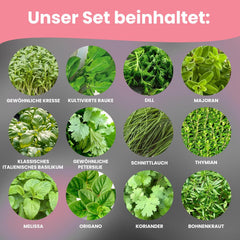 LERAVA Kräutersamen Set – 12 Sorten: Basilikum Samen, Parsilie Samen, Koriander, Oregano & mehr – Saatgut für frische Kräuter im Garten oder Topf, Premium Samen für Küche & Balkon – Samenset, Samen