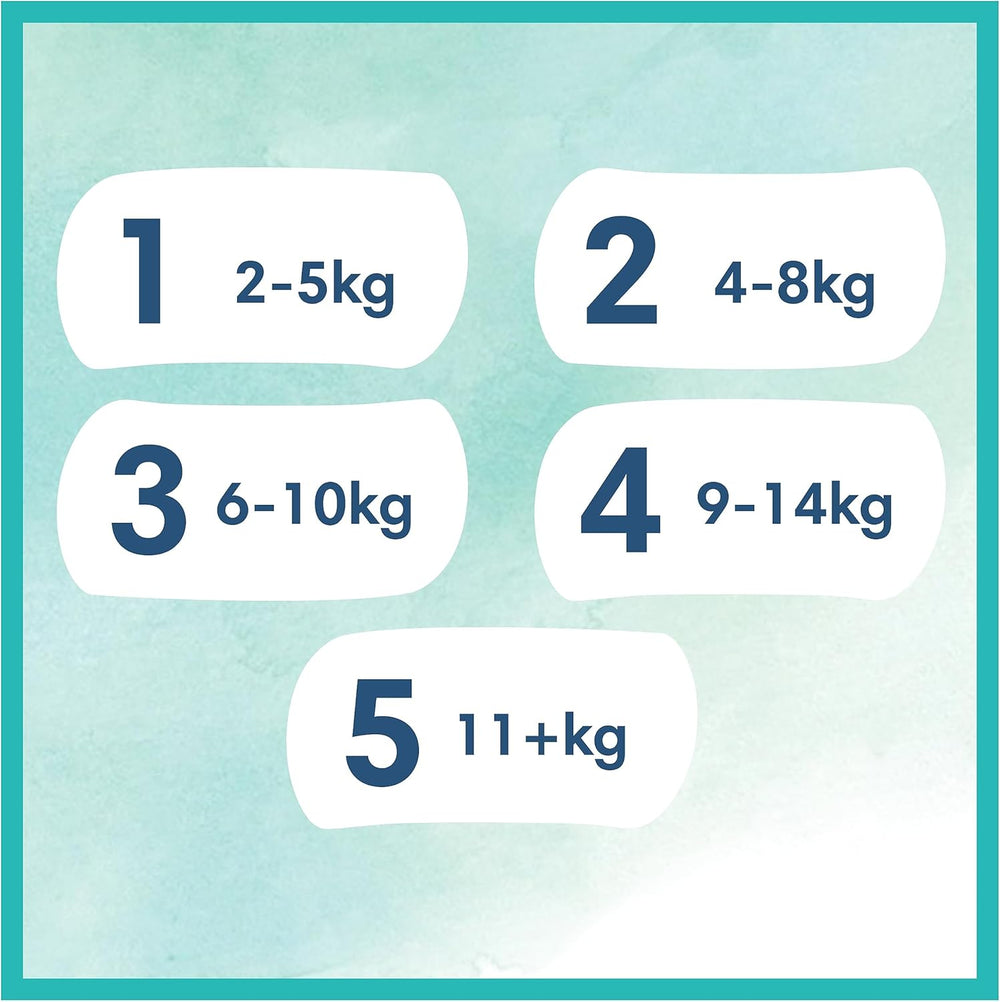 Pampers Babywindeln, Größe 2 (4–8 kg), Harmony, Half Moon Box, sanfter Hautschutz und pflanzliche Inhaltsstoffe, 240 Stück