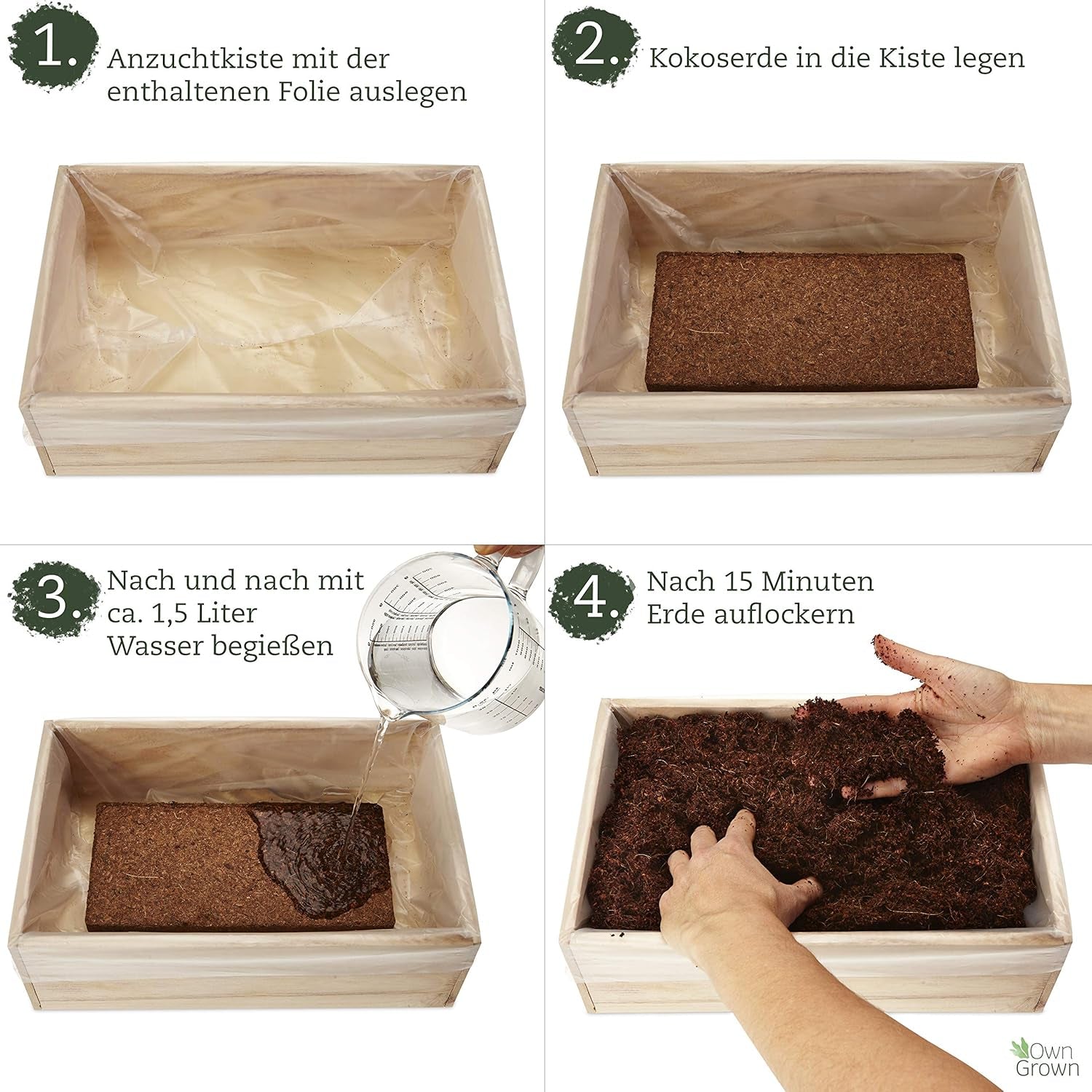Samen-Anbauset mit Holzkiste und 8 Sorten Pflanzensamen: Gemüse-, Erdbeer- und Kräutersamen-Anbauset für Kinder – Mini-Gewächshaus und Mini-Garten-Starter-Set von OwnGrown