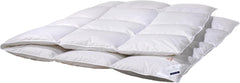 Billerbeck Daunendecke – E04 Gold Edition – Bettdecke für alle Jahreszeiten – 135 x 200 cm Echte Daunendecke – mittleres Wärmeniveau Bettdecken und Steppdecken Naty Shop