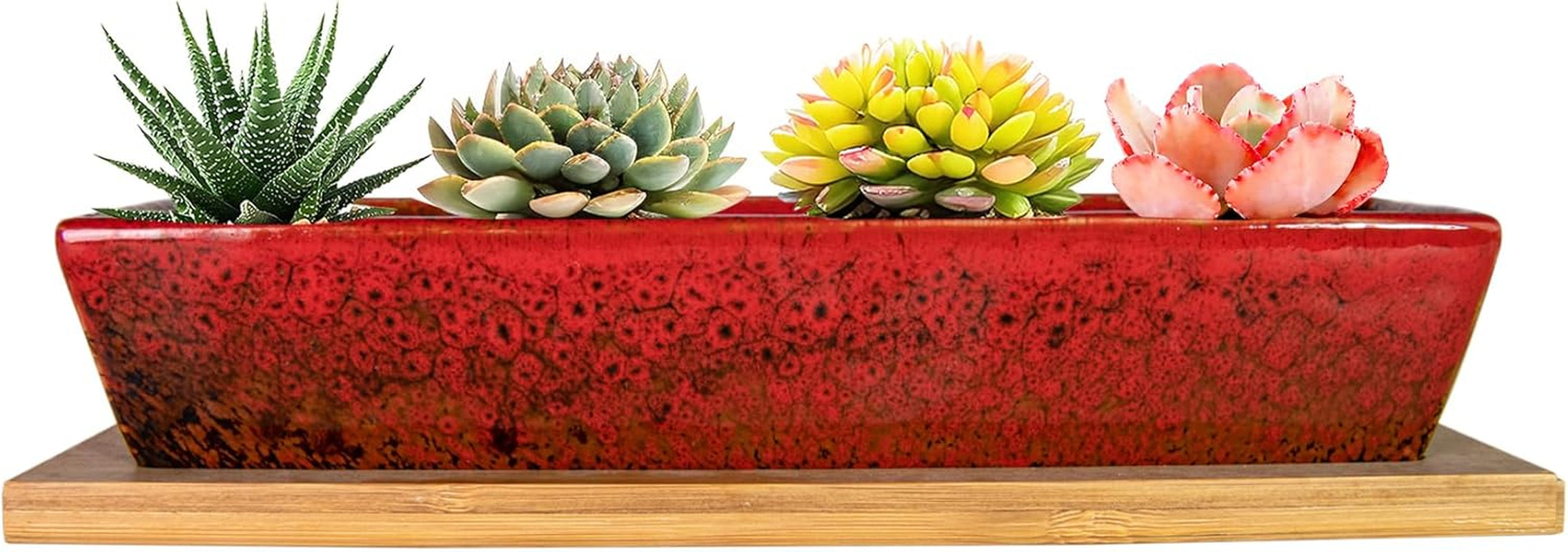 Ghivece ceramice pentru suculente, 30 cm, moderne, lungi, dreptunghiulare, recipient pentru flori cu tavă, cutie plată pentru cactus și bonsai cu drenaj, pentru uz interior și exterior, decorațiuni interioare
