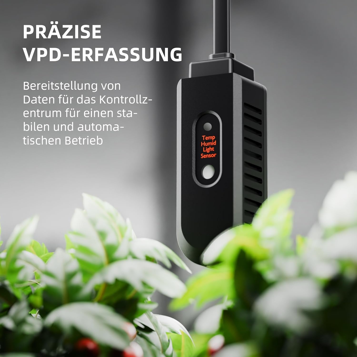 SPIDER FARMER Luftentfeuchter, 12 l Pflanzen-Luftentfeuchter mit Feuchtigkeitskontrolle, App-Steuerung, 24-Stunden-Timer-Funktion für Wachstumszelte, elektrischer Luftentfeuchter für Innengärten, Wohnungen und Keller