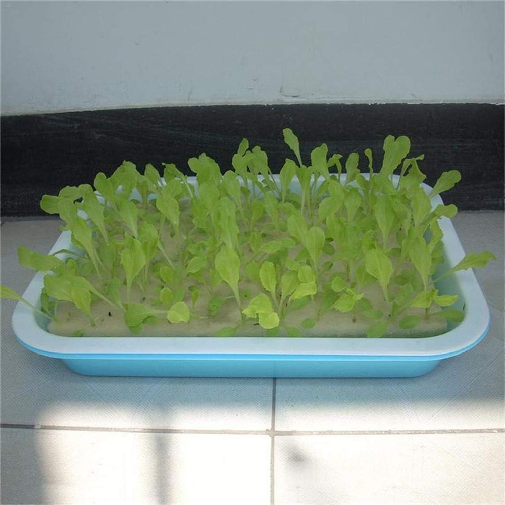 Hydrokultur-Schwamm, 100 Stück, Hydrokultur-Schwämme für den Samenanbau, Gartengerät für kleine Knospenpflanzen oder Setzlinge