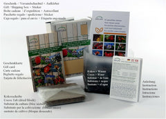 SAFLAX - BIO - Löwenzahn - 400 Samen - Taraxacum officinale