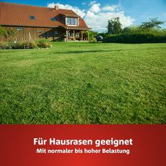 Wolf-Garten Sport- & Spielrasen LG 125 (Für 125 M², Schnell Nutzbar & Trittfest, Strapazierfähiger Rasen Für Sport- & Spielplätze, Hausgarten, Für Alle Bodenarten Geeignet, Im 2,5 Kg Beutel) 3825020