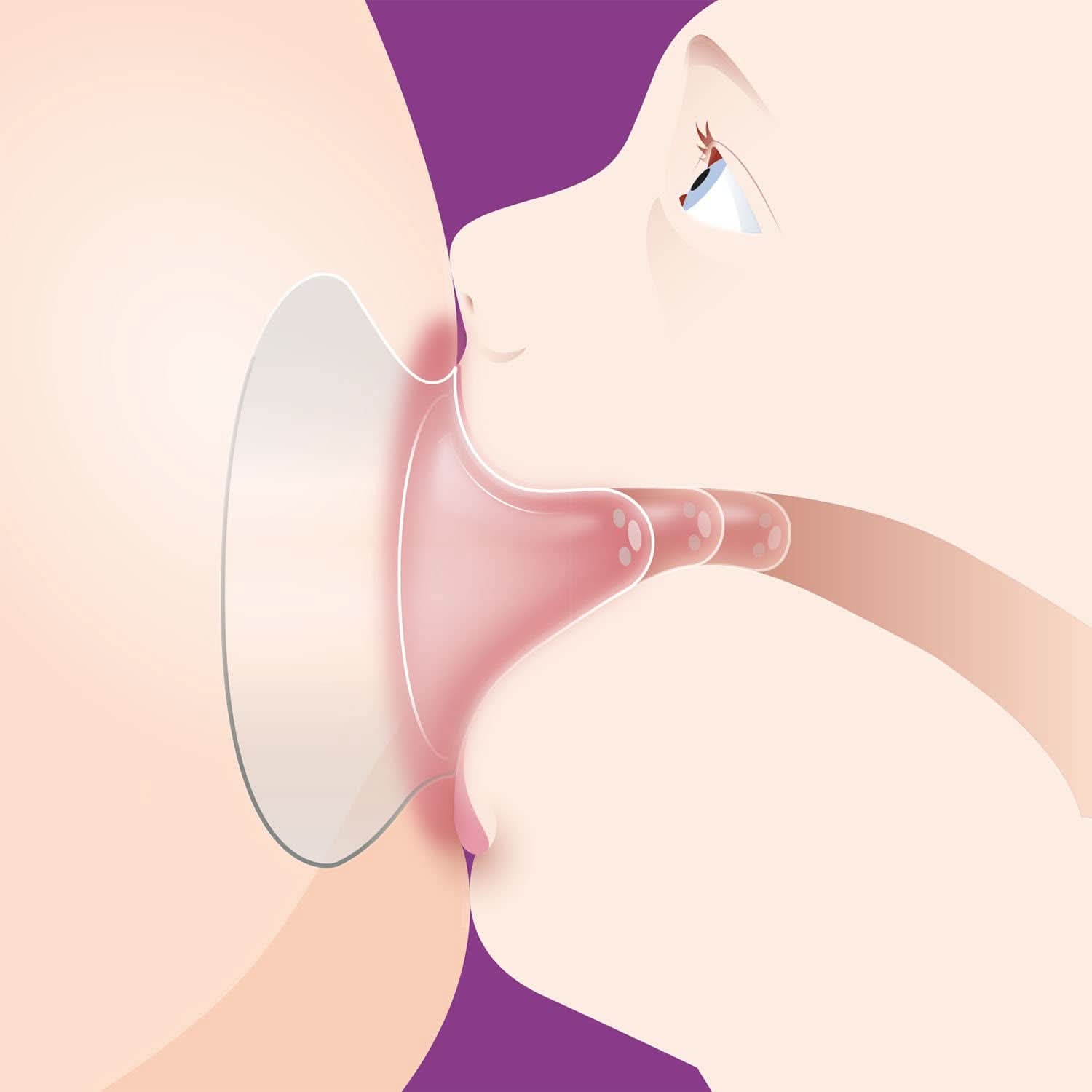 PHILIPS Avent SCF153/03 Brustwarzenschutz – Lebensmittel- und Stillzubehör mittlerer Größe Baby Naty Shop