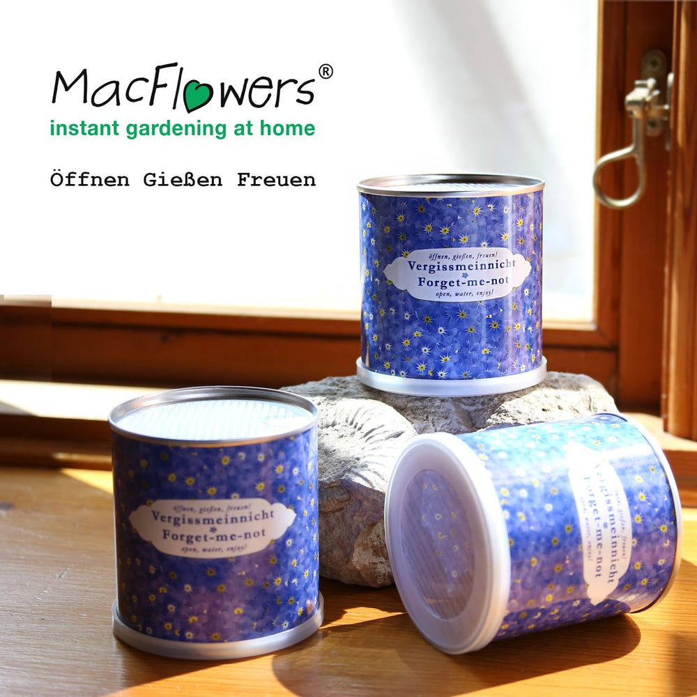 Schau mich nicht in einem Blumenkasten an | Wachstumsset als besonderes Geschenk | Öffnen, wässern, genießen | Zum Abschied oder als Dankeschön