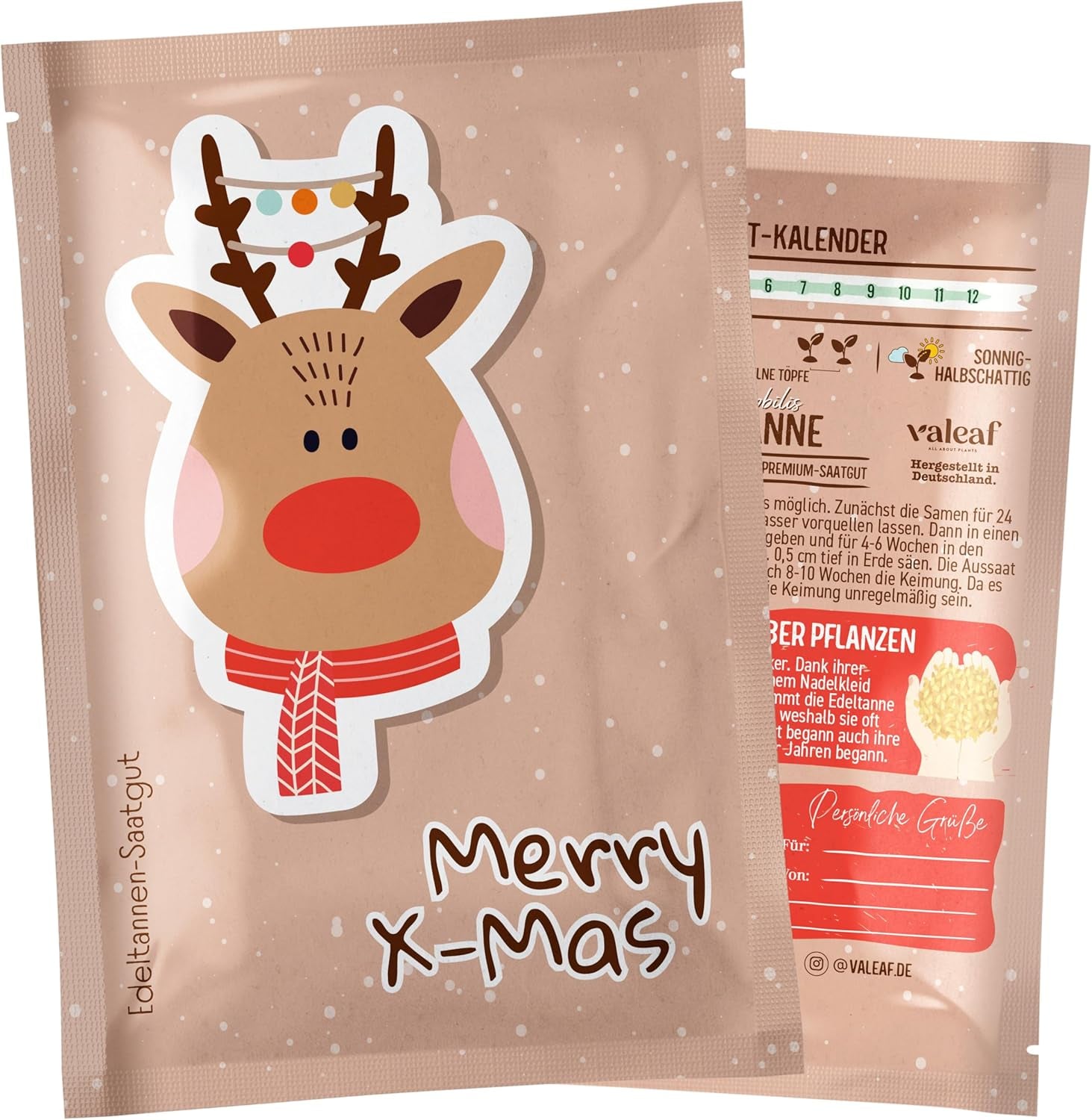 Weihnachtsbaum 2030 – Nordmann Weihnachtsbaumsamen zum Pflanzen eines Weihnachtsbaumes, ideal als Wichtelgeschenk zu Weihnachten