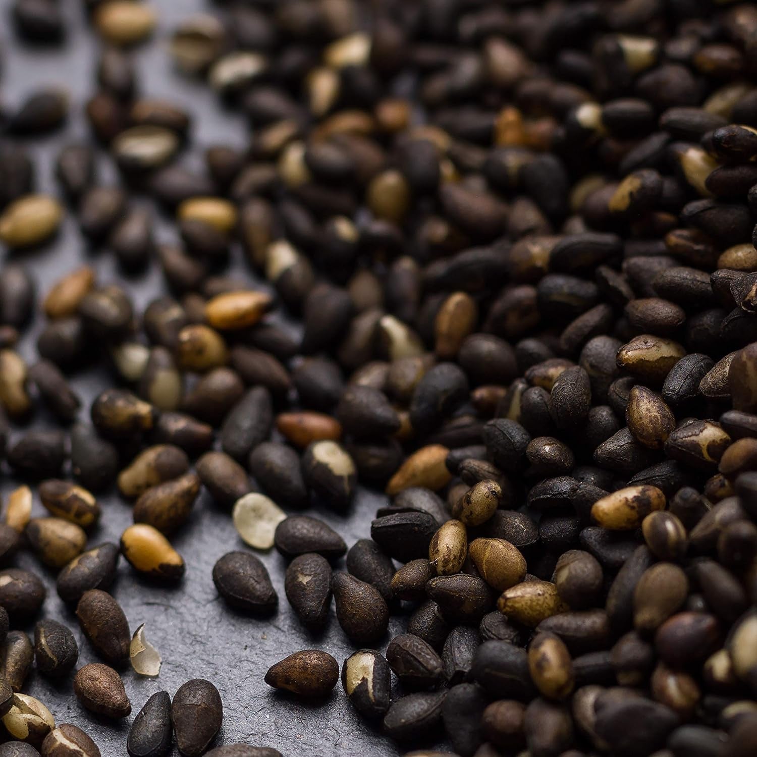 - Gerösteter schwarzer Sesam 150g | Ballaststoffreich | Proteinquellen vegan | Reiches Aroma | Antioxidans | Einfach streuen