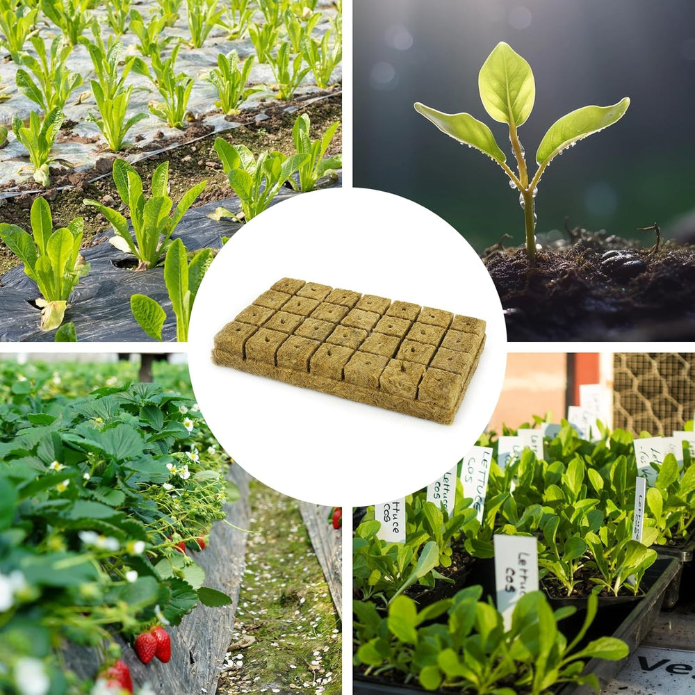 28 Steinwolle-Würfel, Steinwolle-Set, Steinwolle-Anzuchtmatte, erdlose Hydrokultur-Anzuchtmatte, Steinwolle-Würfel, Steinwolle-Würfel für Stecklinge, Klonen, Vermehrung, 4 x 4 x 4 cm