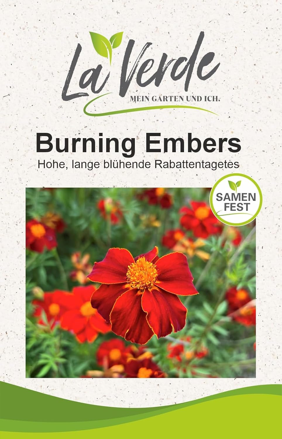 La Verde MEIN GARTEN UND ICH. Tagetes Bonita Blumensamen mischen für ca. 100 Pflanzen, langblühende Ringelblumen, gefüllte Blüten, gentechnikfreie Samen