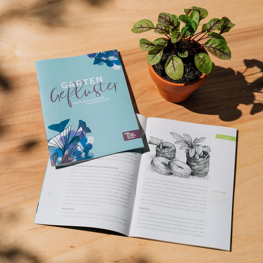 Heilige Druiden-Pflanzen (Bio) - Samen-Geschenkset Mit 4 Magischen Pflanzen Der Keltischen Druiden