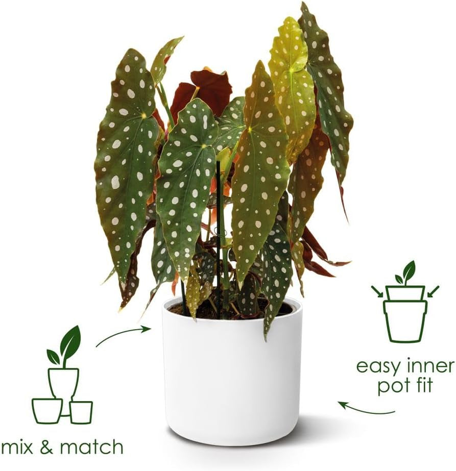 elho B.for Soft Round 14 - Ghiveci de flori de interior - Plastic 100% reciclat - Ø 13,8 x H 12,5 cm - Verde/Verde frunză