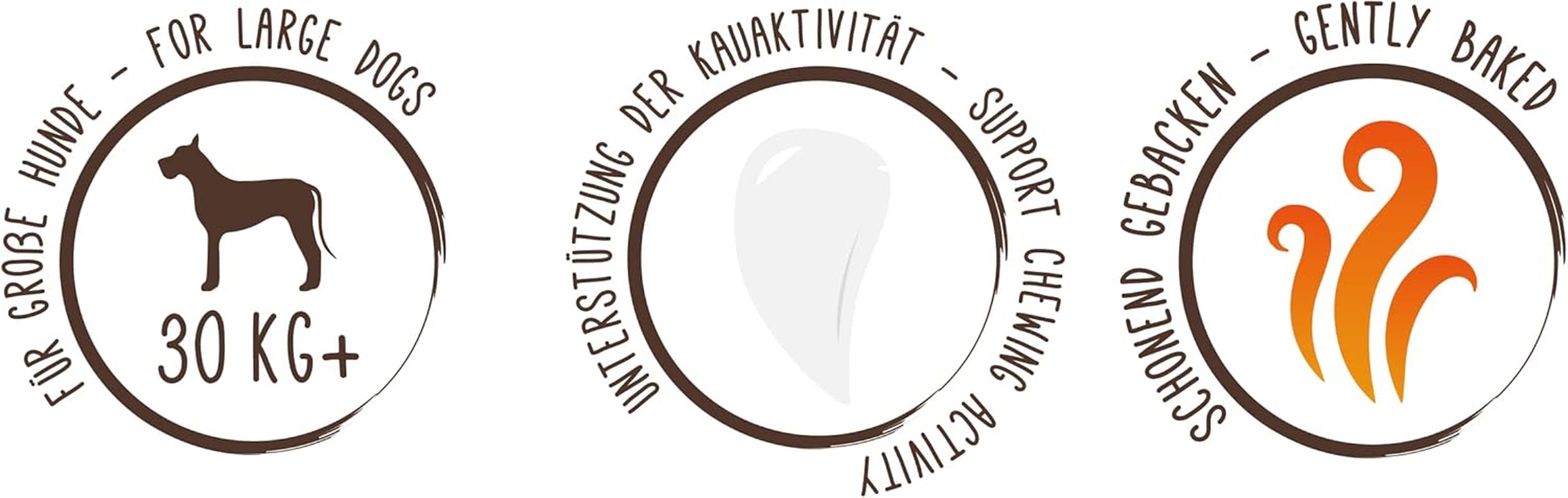 Sammy's Müsli-Münzen | Knusprig gebackene Snacks für Hunde | 5 Körner-Müsli-Münzen für Ihren großen pelzigen Freund (30 kg+) | 1 kg