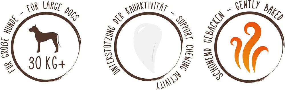 Sammy's Müsli-Münzen | Knusprig gebackene Snacks für Hunde | 5 Körner-Müsli-Münzen für Ihren großen pelzigen Freund (30 kg+) | 1 kg