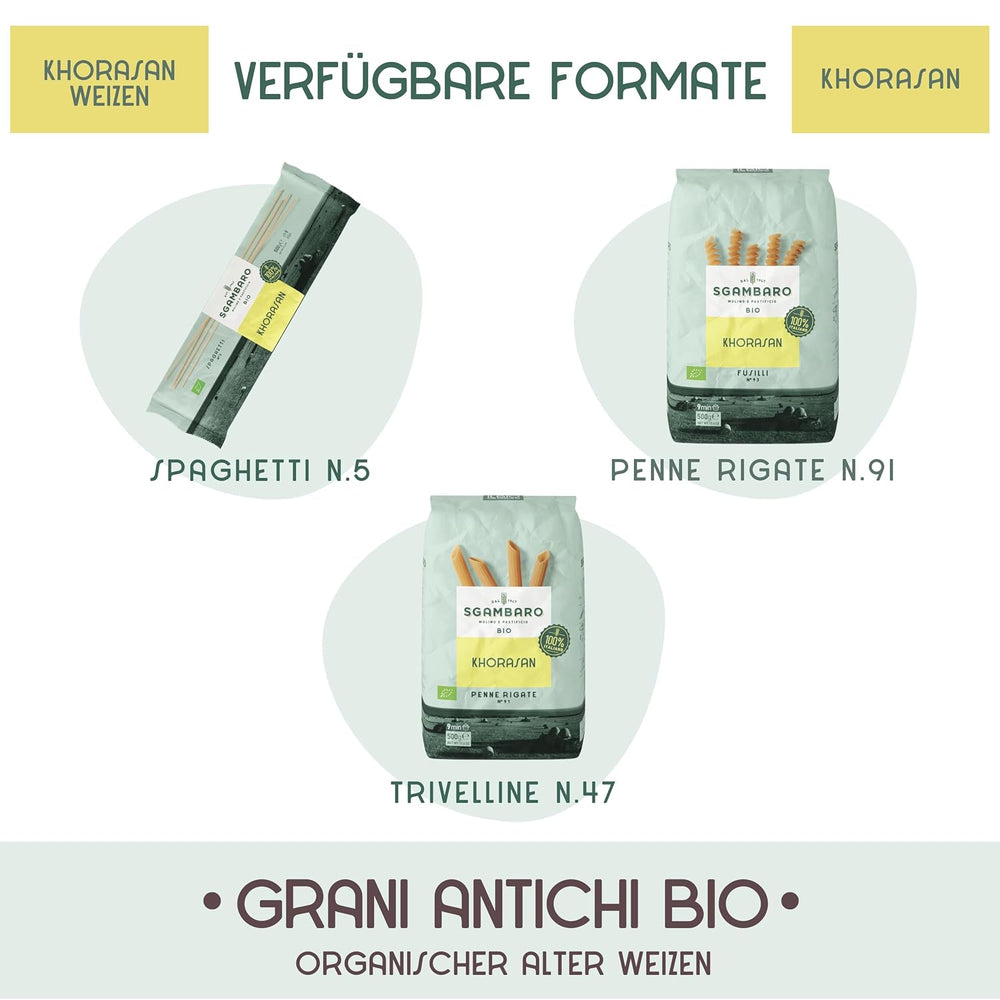 Bio-Penne-Rigate-Nudeln N.91 – 500 g aus Khorasan-Weizen – Uralter Weizen, reich an Proteinen, 100 % in Italien angebaut – Vielseitig in der Küche und reich an Nährstoffen
