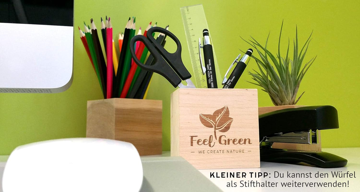 Feel Green Message Cube, Holzwürfel Mit Lasergravierter Glücksbohne"Merry Xmas", Nachhaltige Geschenkidee, 100% Eco Friendly, Anzuchtset, Made in Austria