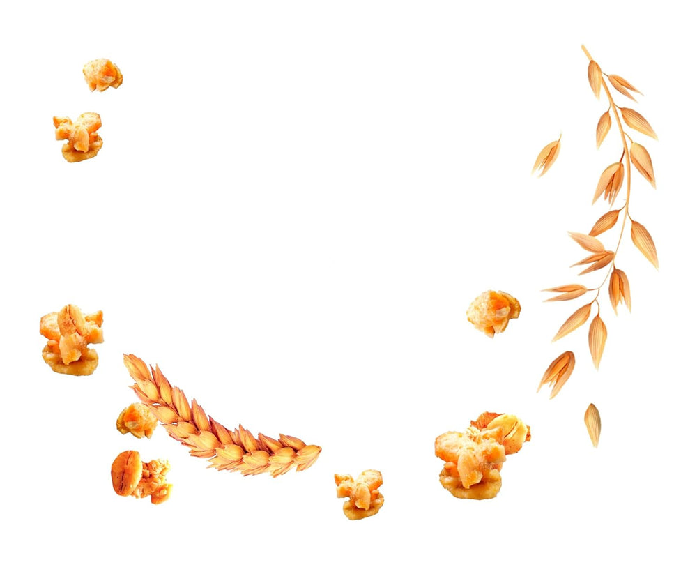 Dr. Oetker Vitalis Less Sweet Crunchy Pure: Knuspermüsli mit 30 % weniger Zucker, 5er Pack (5 x 600g)