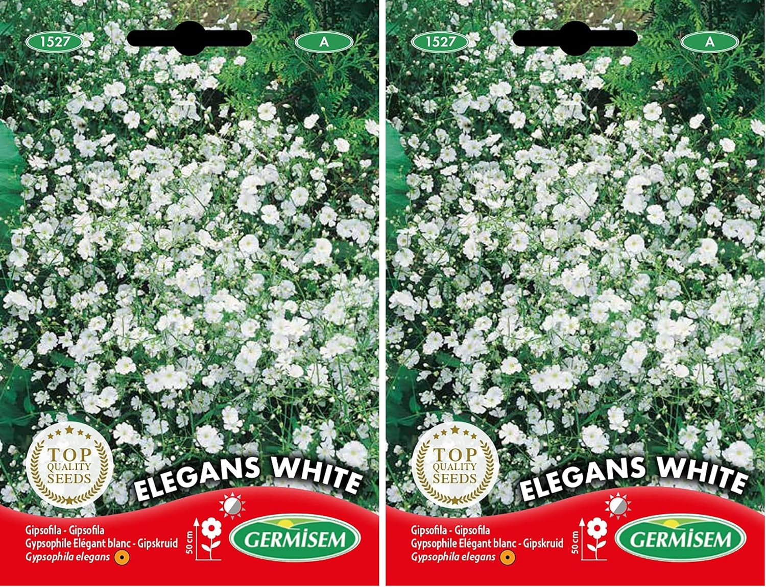 Schleierkraut, Mehrfarbig, EC1527 (Packung Mit 2)