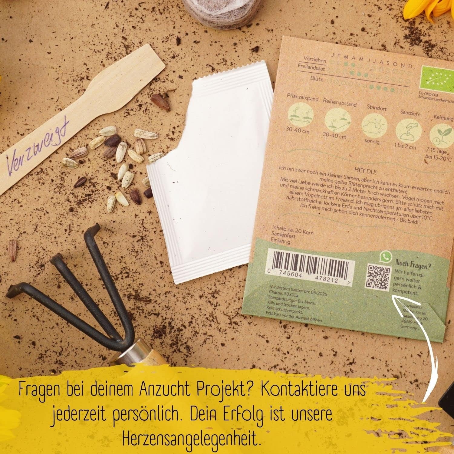 Bio-Sonnenblumenkerne, verzweigt, 20 Sonnenblumenkerne mit hoher Keimrate, Sonnenblumenkerne für den Garten, Balkon, Blumenbeet oder Gastgeschenk. Frei bestäubte Blumensamen.