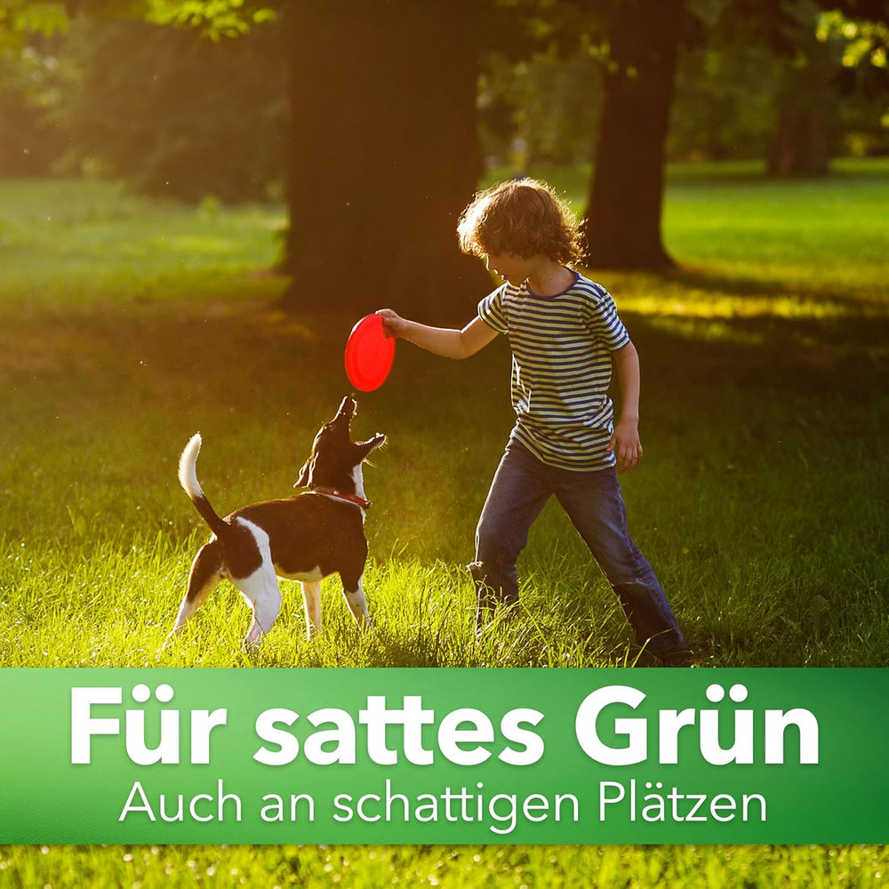 Hesa Schattenrasen RSM 7.4, 1Kg Für Ca 50 M², Premium Rasensamen, Zierrasen Für Schatten, Halbschatten Und Auch Vollsonne, Grassamen in Profiqualität