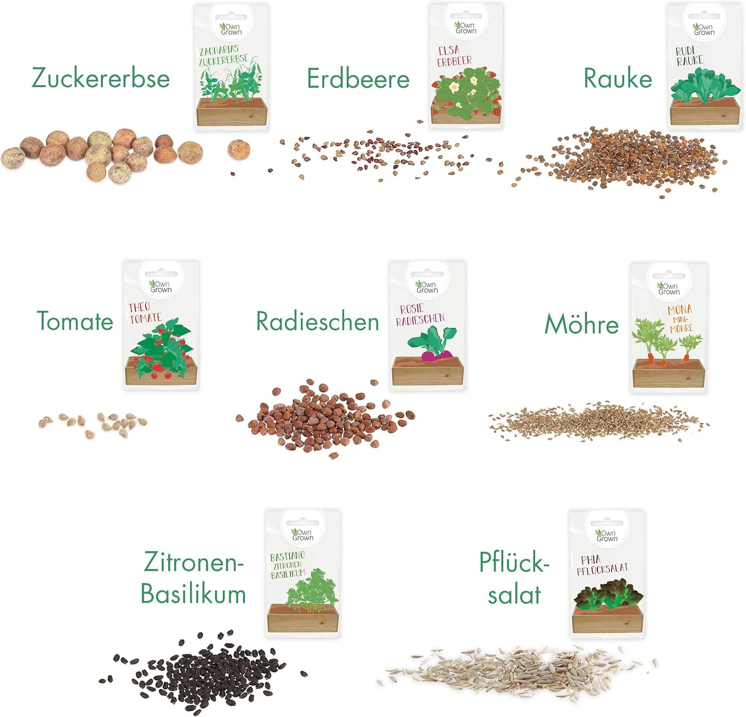 Samen-Anbauset mit Holzkiste und 8 Sorten Pflanzensamen: Gemüse-, Erdbeer- und Kräutersamen-Anbauset für Kinder – Mini-Gewächshaus und Mini-Garten-Starter-Set von OwnGrown