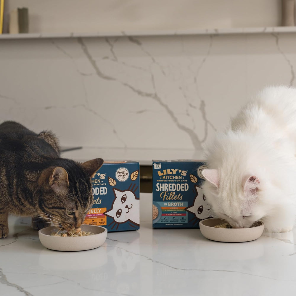 Lily’s Kitchen Aus Natürlichen Zutaten hergestellt Zerkleinerte Filets in Gelee mit Hühnchen und Lachs Ausgewachsen Nassfutter für Katzen 70 g Dose