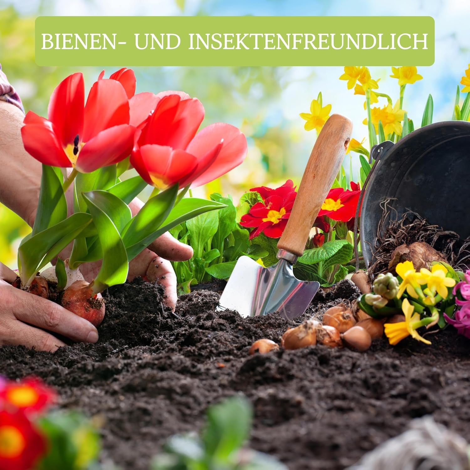 Blumensamen für Garten und Balkon: 10 Sorten Premium-Blumensamen als Pflanzensamen-Set - Balkonblumensamen - Wildblumensamen für Balkon und Garten von OwnGrown