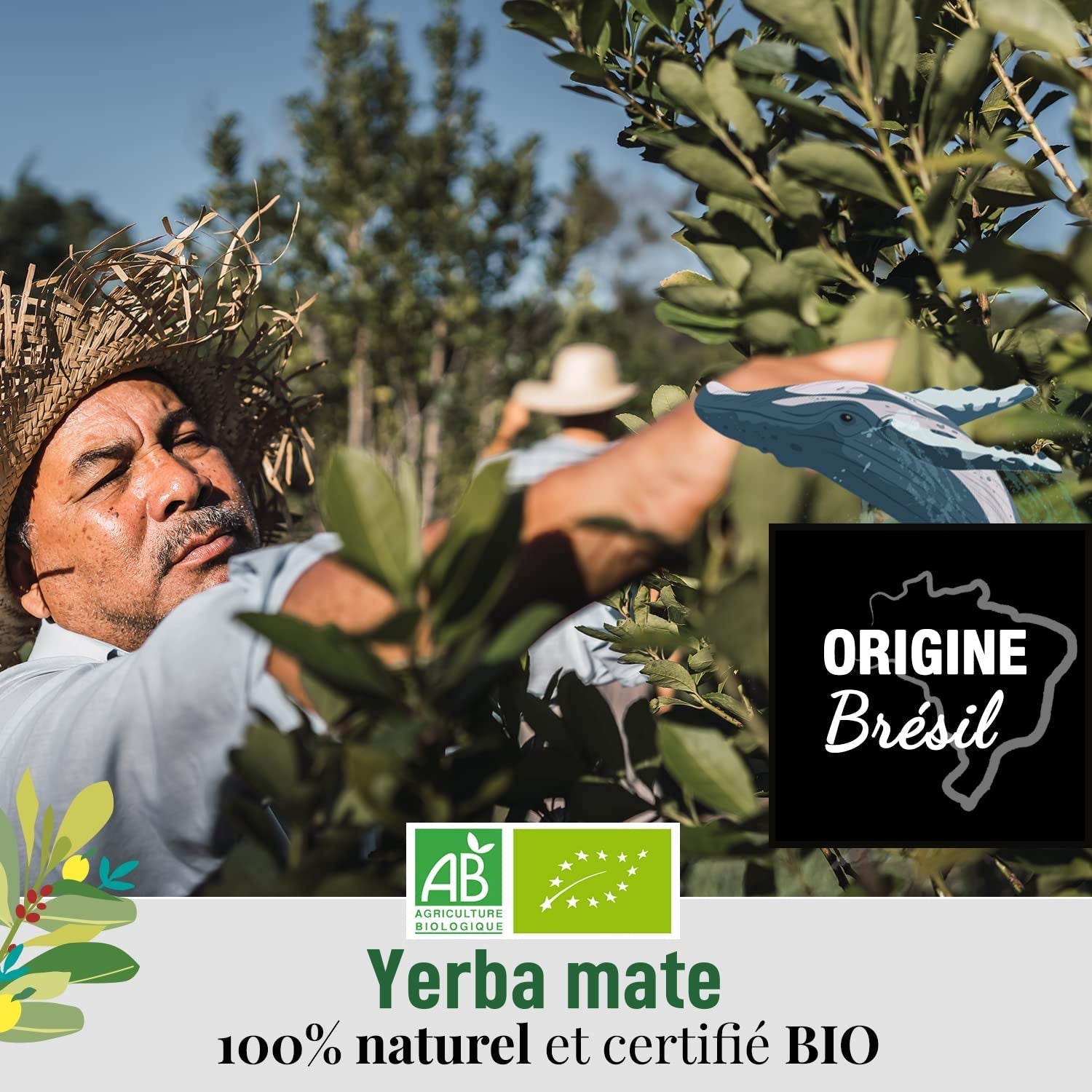 ORIGEENS BIO YERBA MATE CU MENTĂ ȘI LĂMÂIE 200 G - Prospețimea I Bio Yerba Mate neprăjită, frunze, fără tulpini și praf