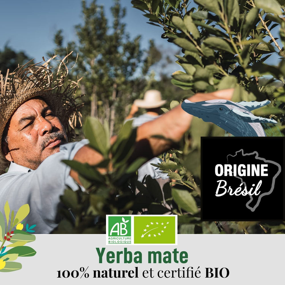ORIGEENS BIO YERBA MATE CU MENTĂ ȘI LĂMÂIE 200 G - Prospețimea I Bio Yerba Mate neprăjită, frunze, fără tulpini și praf