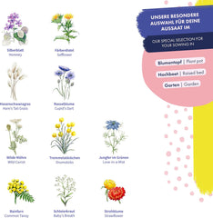 Trockenblumen – 10 Sorten frei bestäubter Blumen – ewig und schön – Samenset für Anfänger, als kleines Geschenk oder für den persönlichen Gebrauch