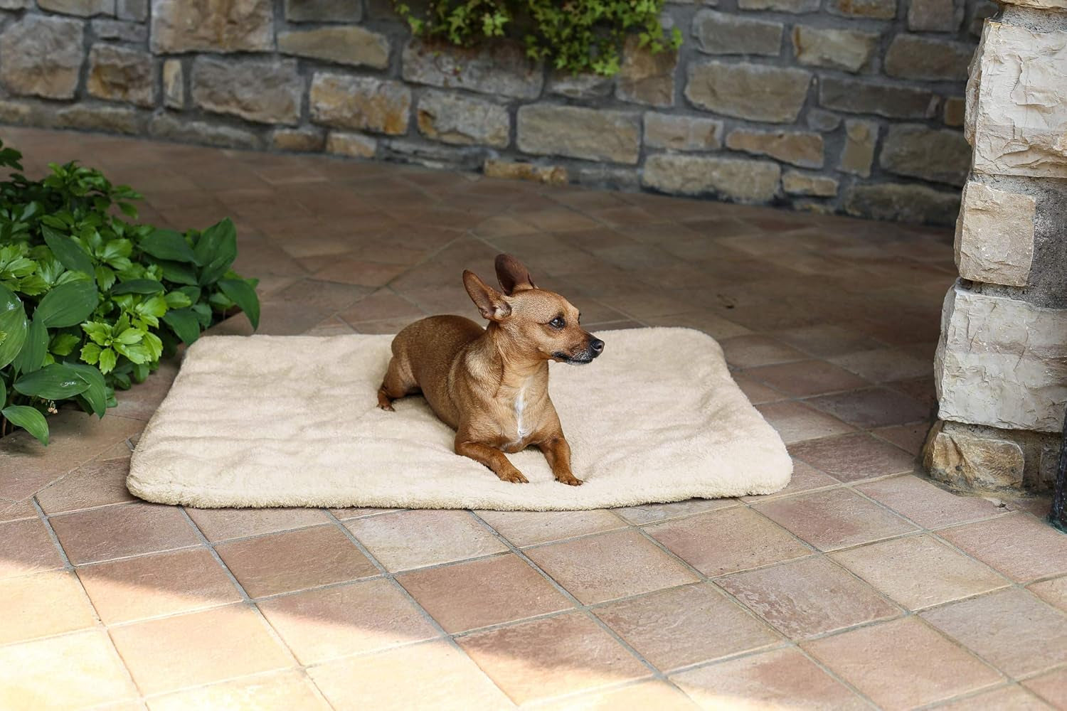 Sogni E Capricci Super Soft Mat, Creme, 104 x 75 cm, Polyester, Bettdecken und Steppdecken Naty Shop Creme 104 x 75 cm