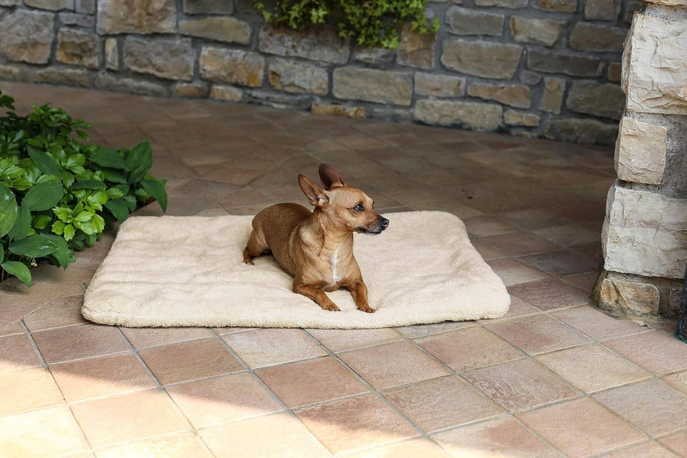 Sogni E Capricci Super Soft Mat, Creme, 104 x 75 cm, Polyester, Bettdecken und Steppdecken Naty Shop Creme 104 x 75 cm