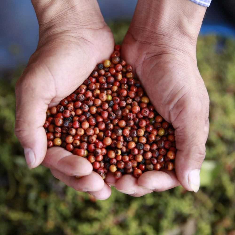 Spicebar Roter Kampot Pfeffer, Premium Auslese aus Kambodscha (1 x 70g)