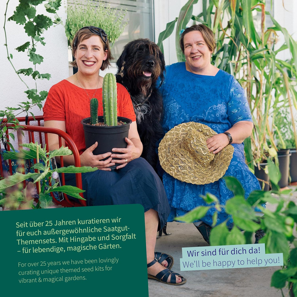 Magic Garden Seeds – Verzauberte Pflanzen mit 6 magischen Kräutern: Wermut, Wermut, Alraune und mehr – Räucherpflanzen zum Selberanbauen und Verschenken